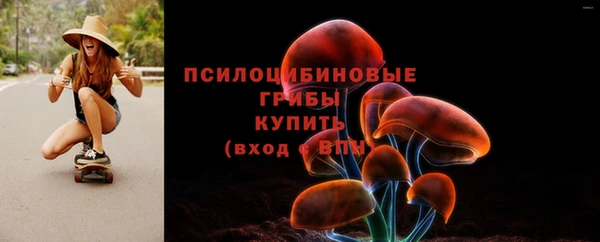 2c-b Беломорск