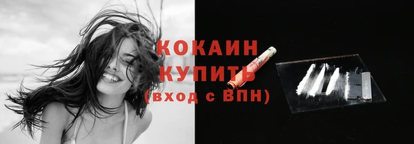гашик Белоозёрский
