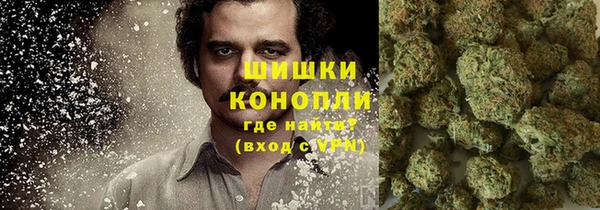 гашик Белоозёрский