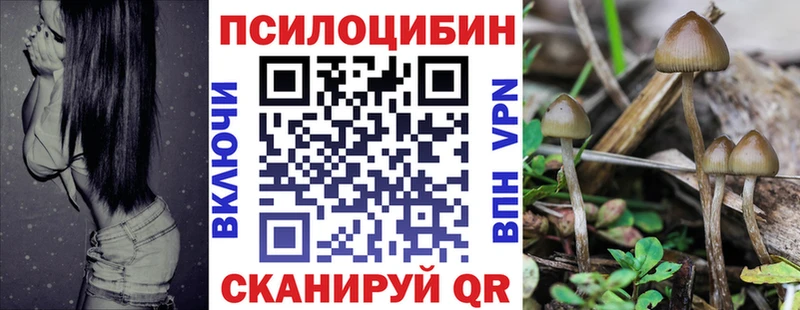 Галлюциногенные грибы Magic Shrooms  Окуловка 